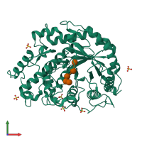PDB entry 1v3h coloured by chain, front view.