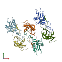 PDB entry 1v4l coloured by chain, front view.