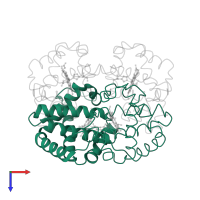 Globin family profile domain-containing protein in PDB entry 1v4x, assembly 1, top view.