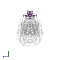 Cytochrome c oxidase subunit 6B1 in PDB entry 1v54, assembly 1, side view.