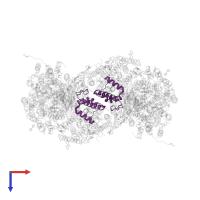 Cytochrome c oxidase subunit 6B1 in PDB entry 1v54, assembly 1, top view.