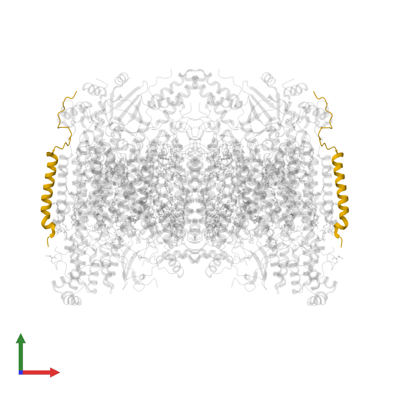 <div class='caption-body'>PDB entry 1v55 contains 2 copies of Cytochrome c oxidase polypeptide VIIb in assembly 1. This protein is highlighted and viewed from the front.</div>