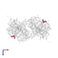 Cytochrome c oxidase subunit 7C, mitochondrial in PDB entry 1v55, assembly 1, top view.