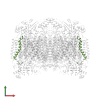 Cytochrome c oxidase subunit 8B, mitochondrial in PDB entry 1v55, assembly 1, front view.