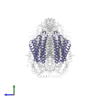 Cytochrome c oxidase subunit 3 in PDB entry 1v55, assembly 1, side view.