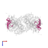 Cytochrome c oxidase subunit 4 isoform 1, mitochondrial in PDB entry 1v55, assembly 1, top view.