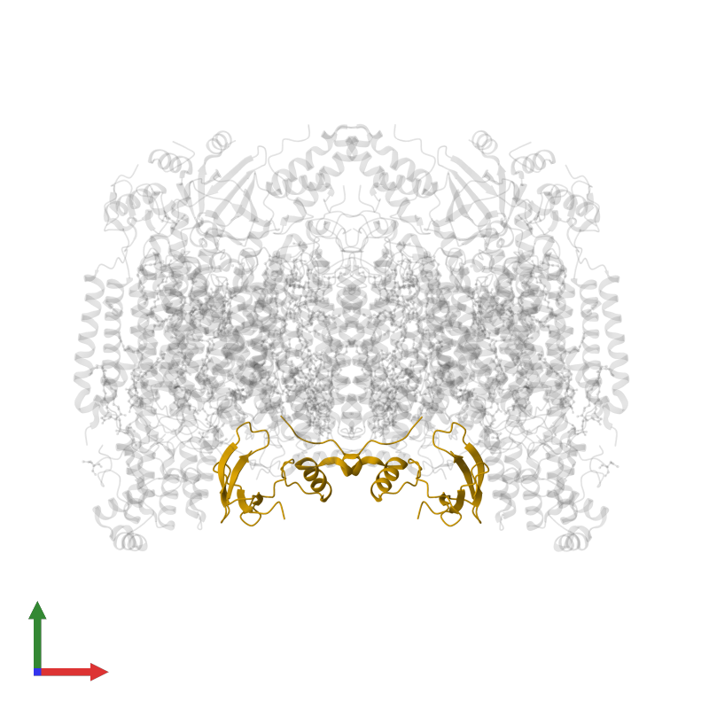 <div class='caption-body'>PDB entry 1v55 contains 2 copies of Cytochrome c oxidase polypeptide Vb in assembly 1. This protein is highlighted and viewed from the front.</div>