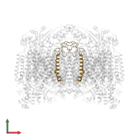 Cytochrome c oxidase subunit 6A2, mitochondrial in PDB entry 1v55, assembly 1, front view.