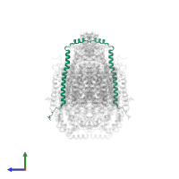 Cytochrome c oxidase subunit 6C in PDB entry 1v55, assembly 1, side view.