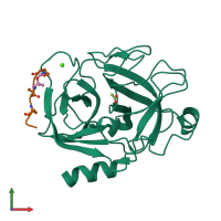 PDB entry 1v6d coloured by chain, front view.