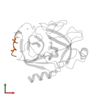 PD(AIB)L(AIB)LA in PDB entry 1v6d, assembly 1, front view.