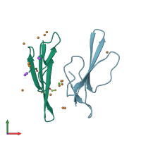 PDB entry 1v6p coloured by chain, front view.