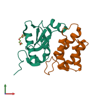 PDB entry 1v74 coloured by chain, front view.