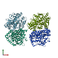 PDB entry 1v8z coloured by chain, front view.