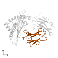 Beta-2-microglobulin in PDB entry 1vad, assembly 1, front view.