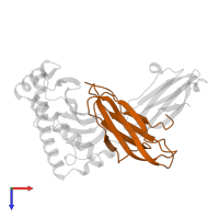 Beta-2-microglobulin in PDB entry 1vad, assembly 1, top view.