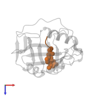 (ACE)AAPA(MCM) in PDB entry 1vai, assembly 2, top view.