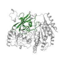 The deposited structure of PDB entry 1vao contains 2 copies of CATH domain 3.30.465.10 (Uridine Diphospho-n-acetylenolpyruvylglucosamine Reductase; domain 3) in Vanillyl-alcohol oxidase. Showing 1 copy in chain A.