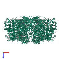 Homo octameric assembly 1 of PDB entry 1vao coloured by chemically distinct molecules, top view.
