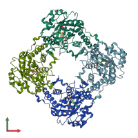 PDB entry 1vcg coloured by chain, front view.