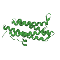 The deposited structure of PDB entry 1vel contains 6 copies of SCOP domain 47241 (Ferritin) in DNA protection during starvation protein. Showing 1 copy in chain C.