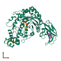 PDB entry 1vem coloured by chain, front view.