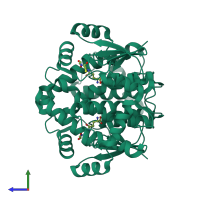 Homo dimeric assembly 1 of PDB entry 1vf1 coloured by chemically distinct molecules, side view.