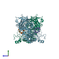 PDB entry 1vfo coloured by chain, side view.