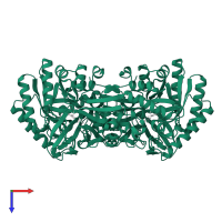 Alanine racemase in PDB entry 1vfs, assembly 1, top view.