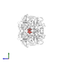 Modified residue KCX in PDB entry 1vfs, assembly 1, side view.