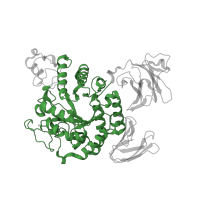 The deposited structure of PDB entry 1vfu contains 2 copies of CATH domain 3.20.20.80 (TIM Barrel) in Neopullulanase 2. Showing 1 copy in chain A.