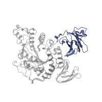 The deposited structure of PDB entry 1vfu contains 2 copies of SCOP domain 81282 (E-set domains of sugar-utilizing enzymes) in Neopullulanase 2. Showing 1 copy in chain A.