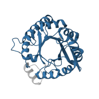 The deposited structure of PDB entry 1vh7 contains 1 copy of Pfam domain PF00977 (Histidine biosynthesis protein) in Imidazole glycerol phosphate synthase subunit HisF. Showing 1 copy in chain A.