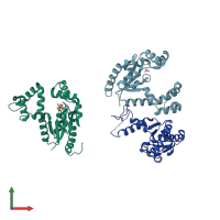 PDB entry 1vhl coloured by chain, front view.
