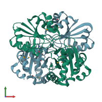 PDB entry 1vhv coloured by chain, front view.