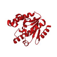 The deposited structure of PDB entry 1via contains 2 copies of CATH domain 3.40.50.300 (Rossmann fold) in Shikimate kinase. Showing 1 copy in chain A.