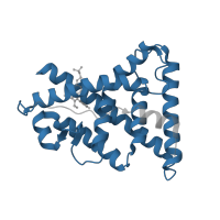 The deposited structure of PDB entry 1vjb contains 2 copies of Pfam domain PF00104 (Ligand-binding domain of nuclear hormone receptor) in Estrogen-related receptor gamma. Showing 1 copy in chain B.