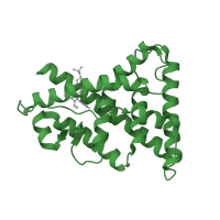 The deposited structure of PDB entry 1vjb contains 2 copies of SCOP domain 48509 (Nuclear receptor ligand-binding domain) in Estrogen-related receptor gamma. Showing 1 copy in chain B.