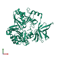 Aminomethyltransferase in PDB entry 1vlo, assembly 1, front view.