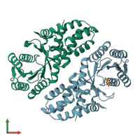 PDB entry 1vma coloured by chain, front view.