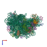 PDB entry 1vq5 coloured by chain, top view.