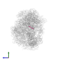 5'-R(*CP*CP*AP*(PHE)*(ACA)*(BTN))-3' in PDB entry 1vq6, assembly 1, side view.