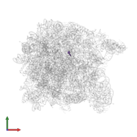 Modified residue OMG in PDB entry 1vq9, assembly 1, front view.