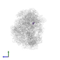 Modified residue OMG in PDB entry 1vq9, assembly 1, side view.