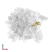 Large ribosomal subunit protein uL16 in PDB entry 1vqp, assembly 1, front view.