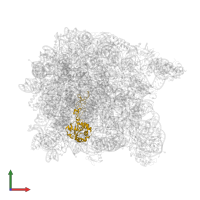Large ribosomal subunit protein uL4 in PDB entry 1vqp, assembly 1, front view.