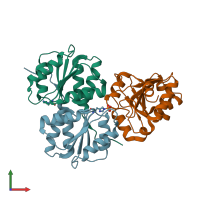 PDB entry 1vsq coloured by chain, ensemble of 2 models, front view.