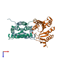 PDB entry 1vsq coloured by chain, ensemble of 2 models, top view.