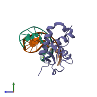 PDB entry 1vtn coloured by chain, side view.