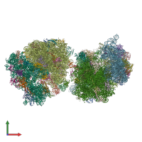 PDB entry 1vy6 coloured by chain, front view.